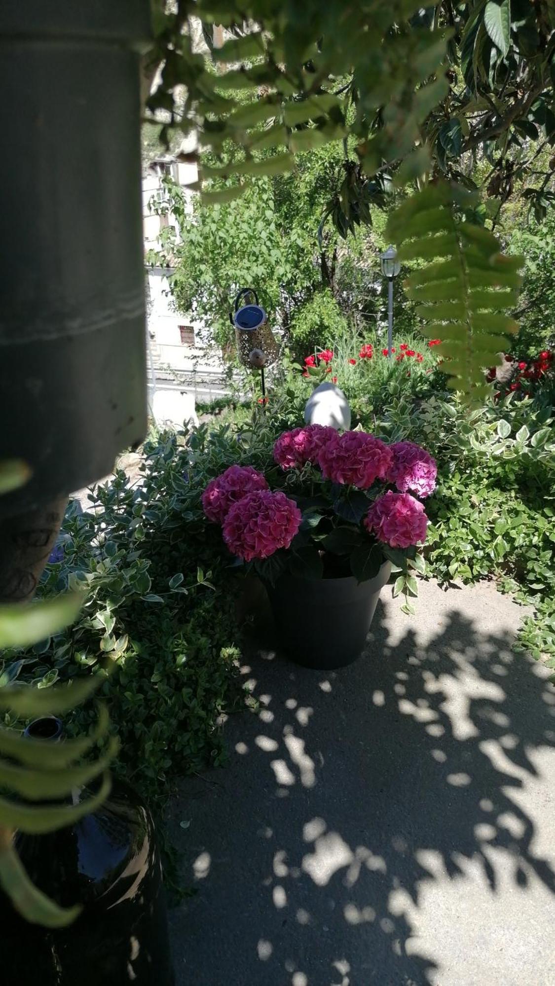 La Casa De La Abuela Apartment ปินอส เกนิล ภายนอก รูปภาพ