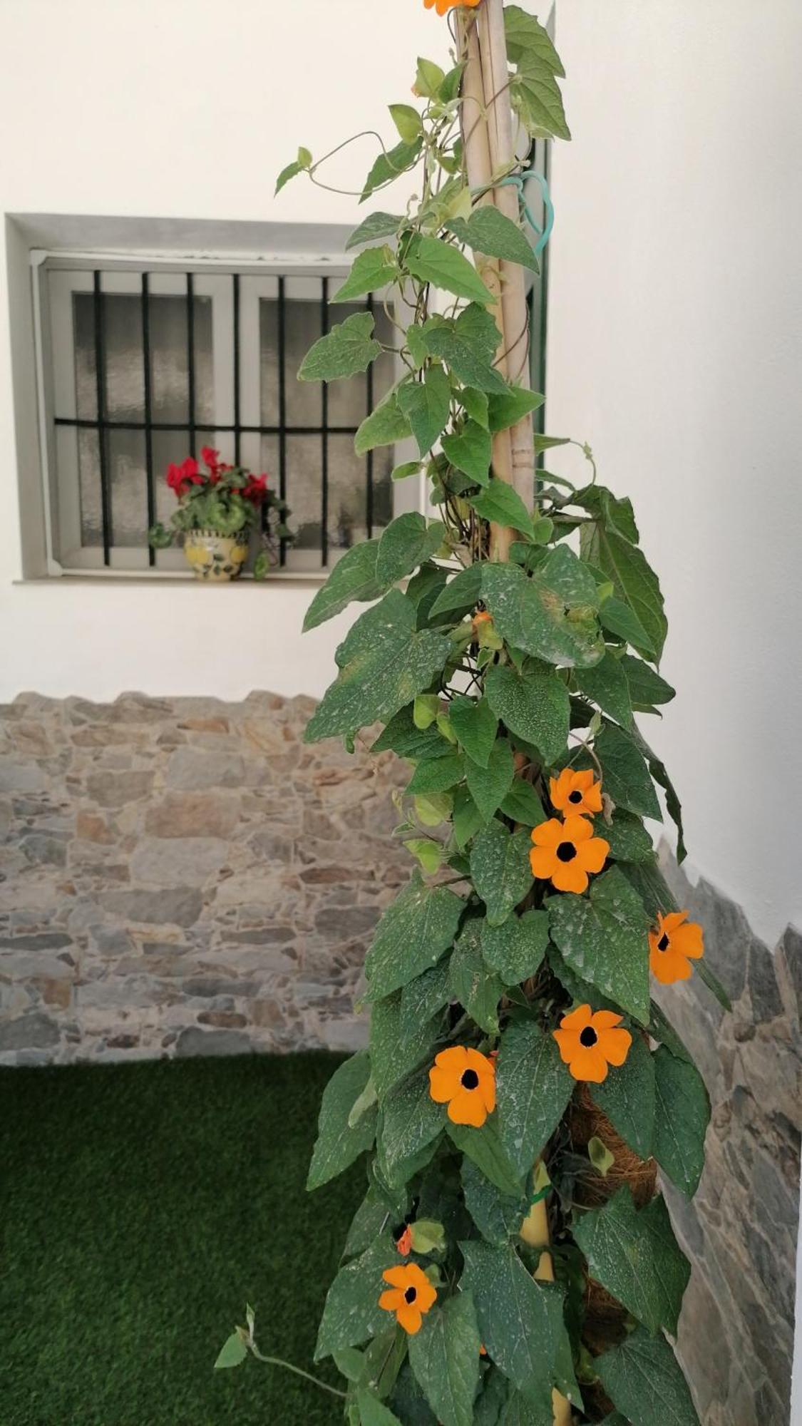 La Casa De La Abuela Apartment ปินอส เกนิล ภายนอก รูปภาพ