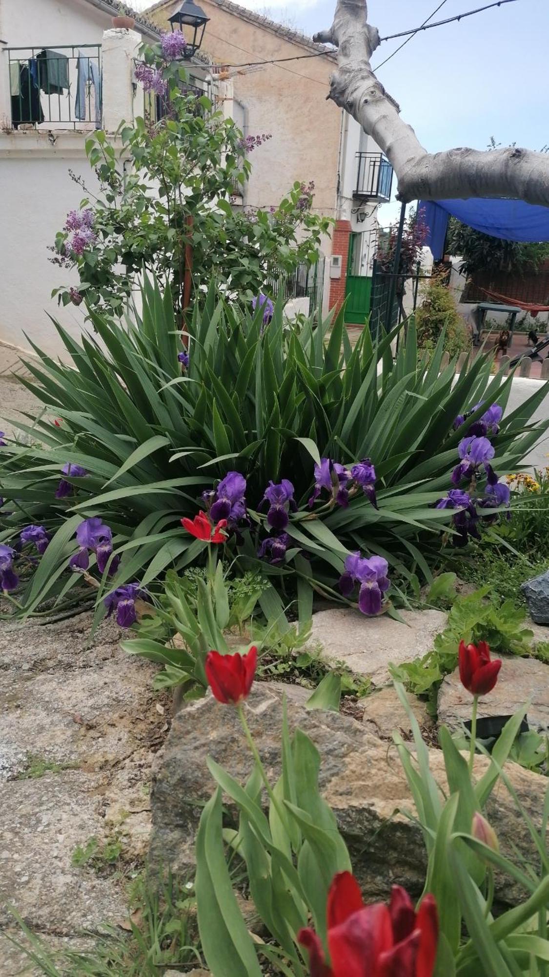 La Casa De La Abuela Apartment ปินอส เกนิล ภายนอก รูปภาพ