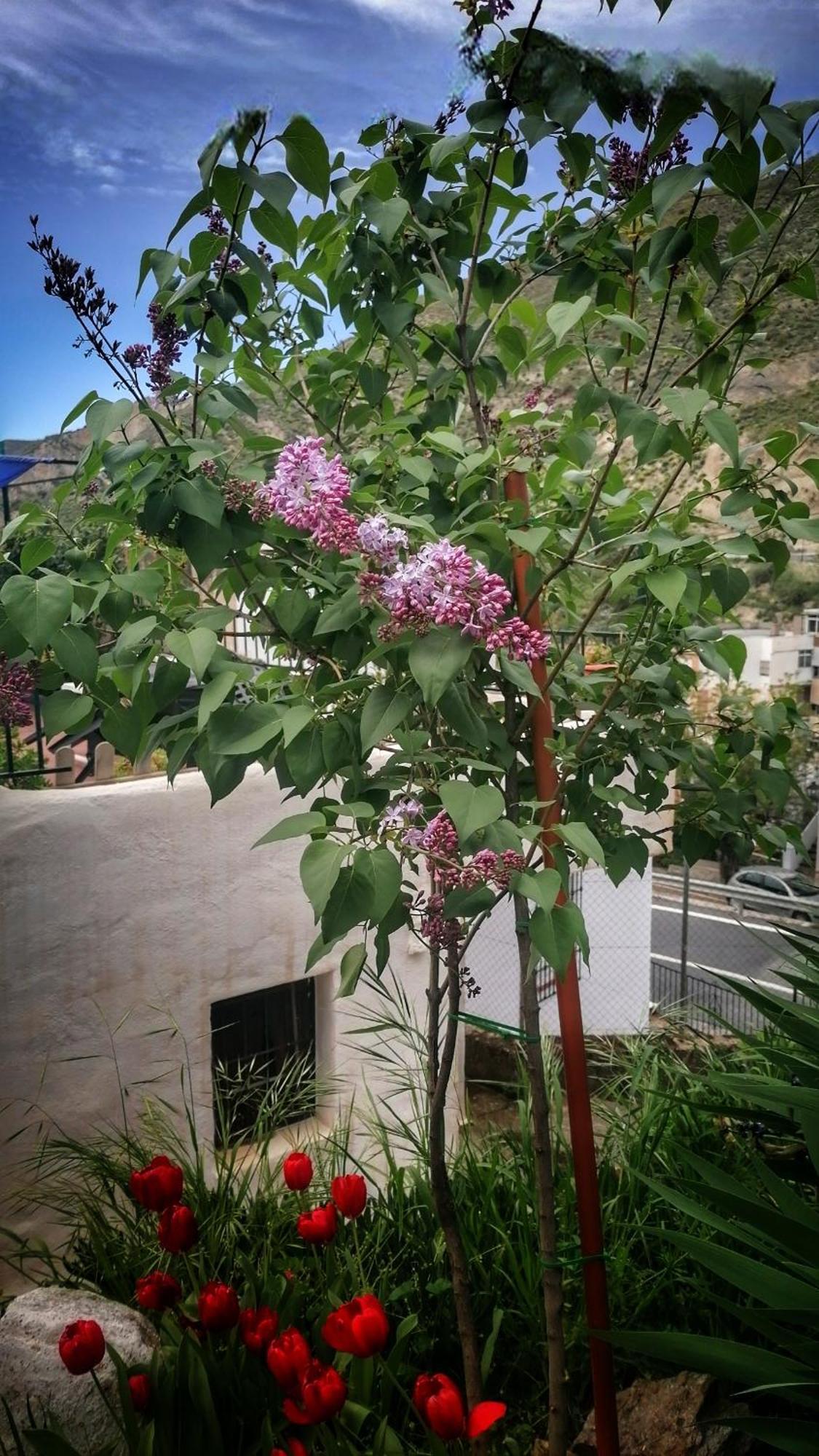 La Casa De La Abuela Apartment ปินอส เกนิล ภายนอก รูปภาพ
