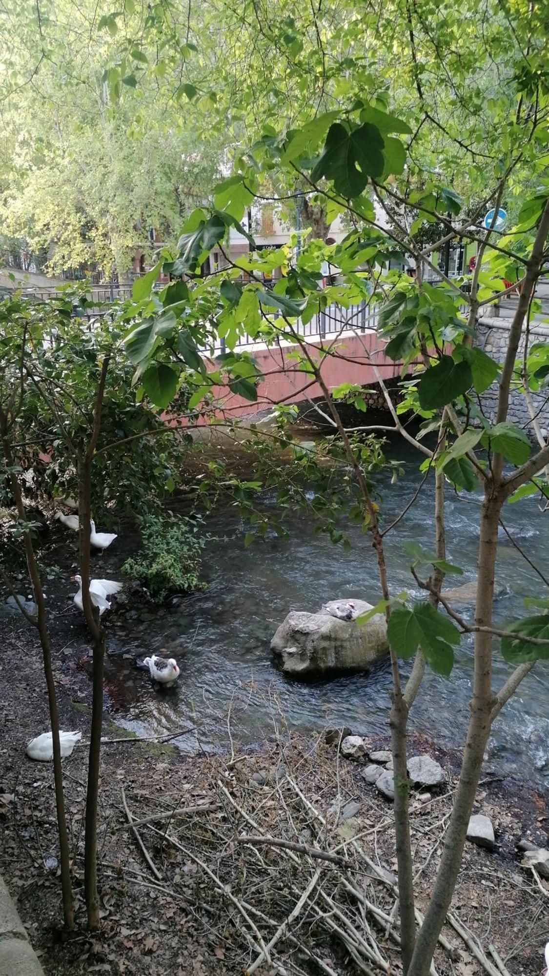 La Casa De La Abuela Apartment ปินอส เกนิล ภายนอก รูปภาพ