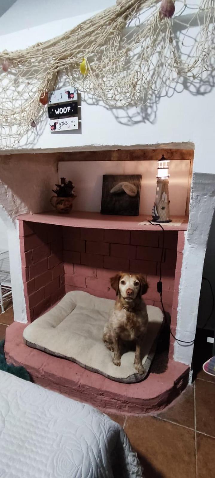 La Casa De La Abuela Apartment ปินอส เกนิล ภายนอก รูปภาพ